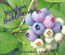 Montana Huckleberry
