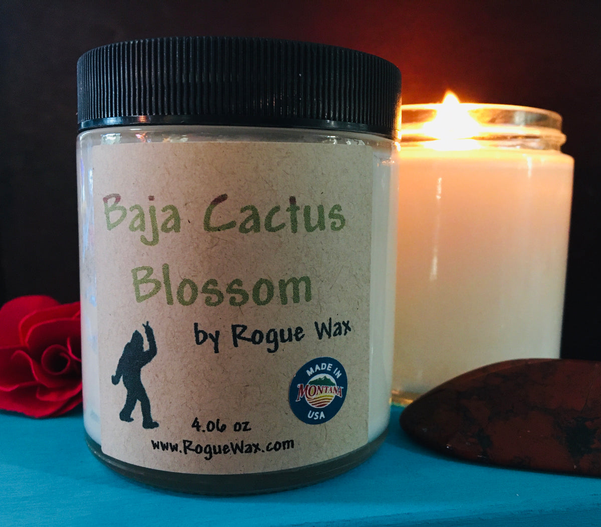 Cactus Blossom is BACK 🏜🌵 #perfume #candles #shorts