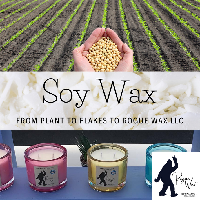 Soy Wax- From Plant to Flakes to Rogue Wax LLC